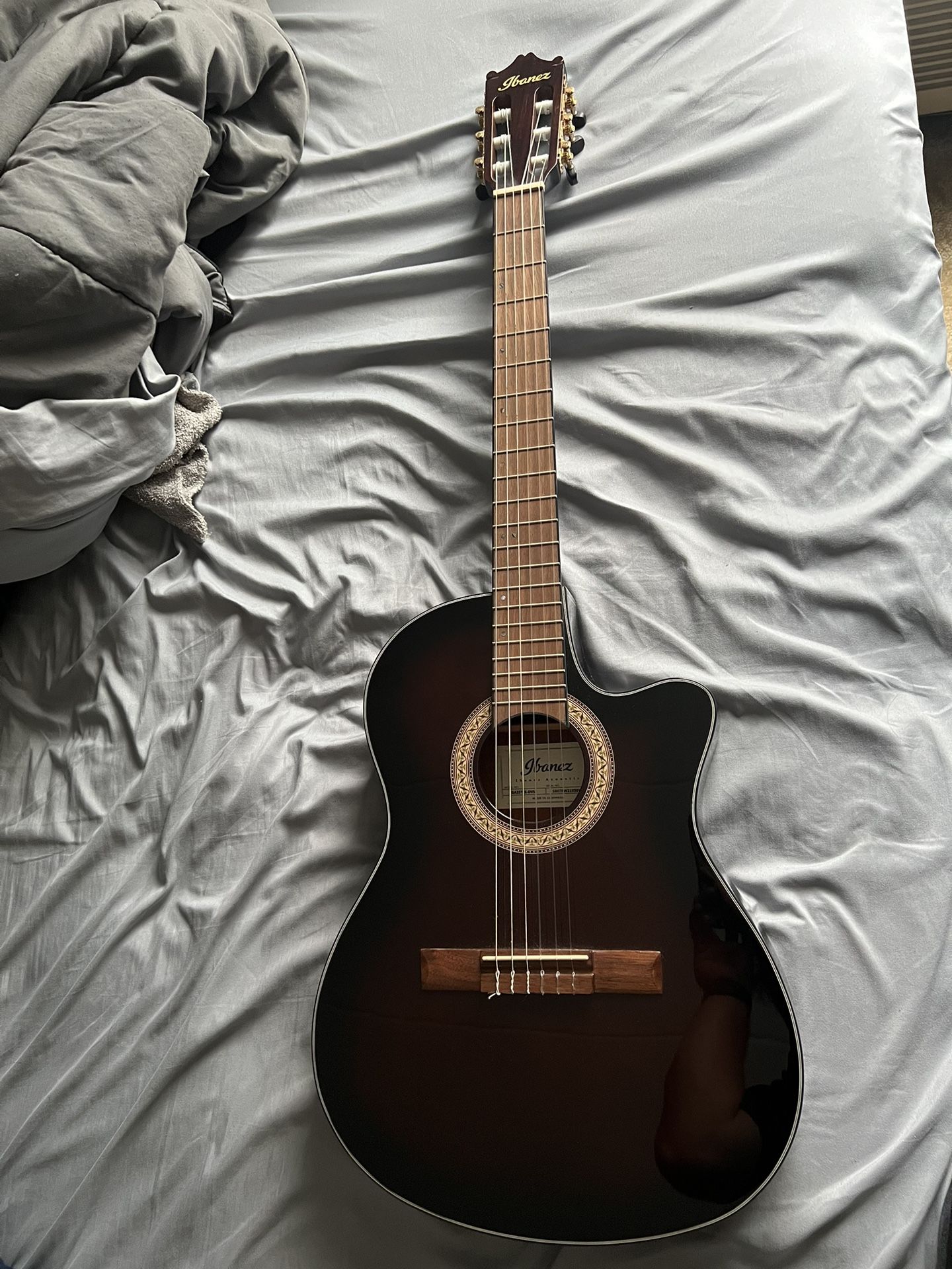 Ibanez Acoustic-Electric Guitar