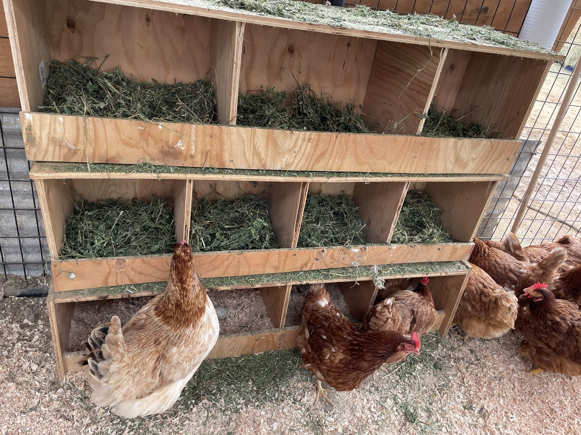Nesting Boxes