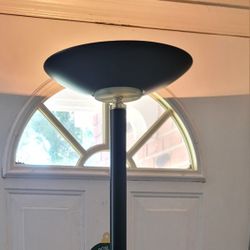 6ft Black Lamp Two Switch Mode
