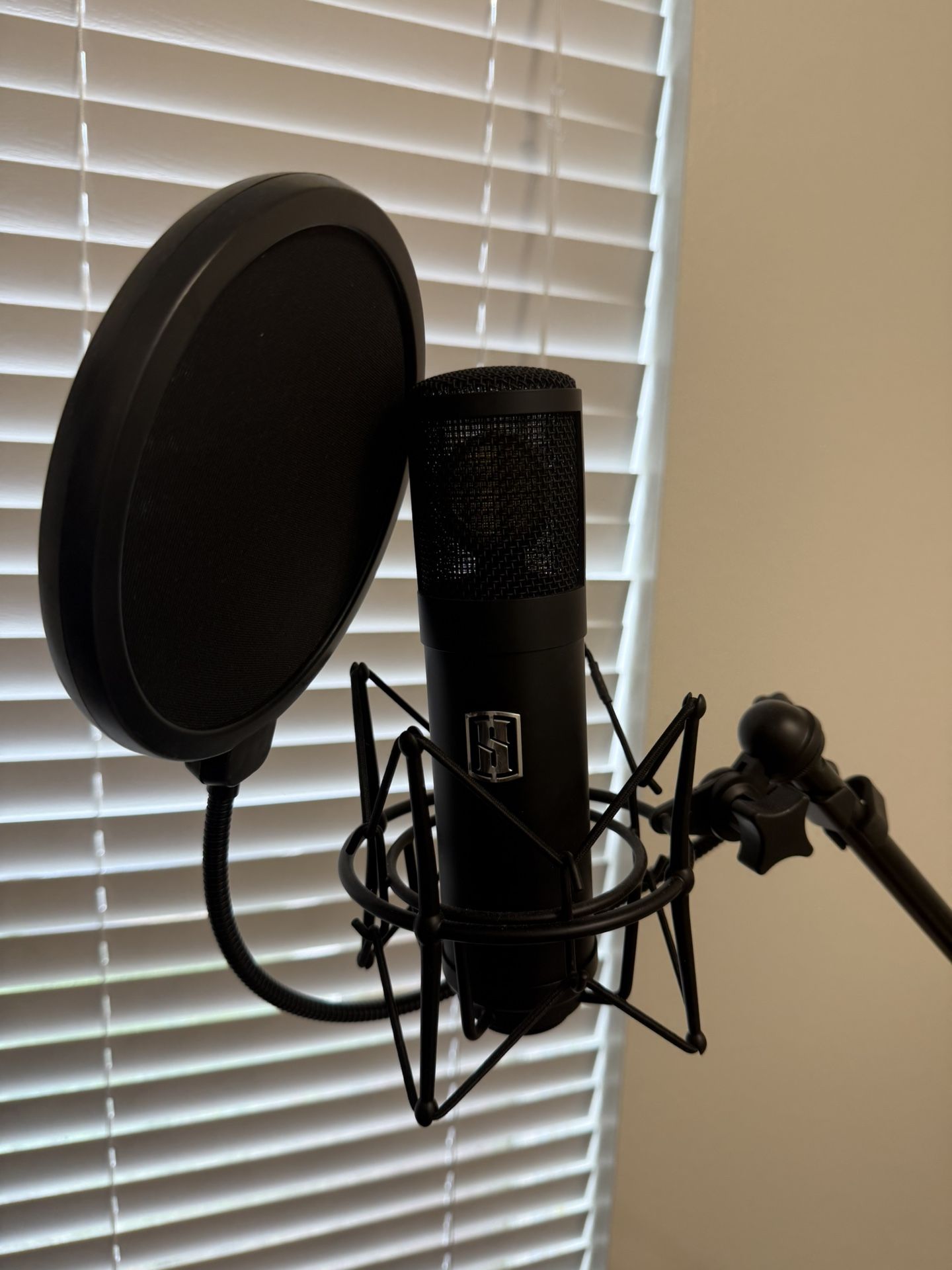 Slate Digital ML-1 Microphone 