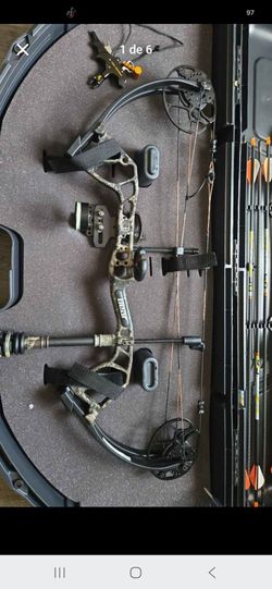Bear royale compound bow