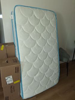 Free twin mattress. ERORVX