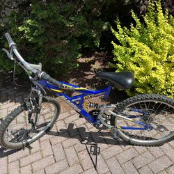 Magna Excitor 24” bike