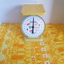 American Family Scale 