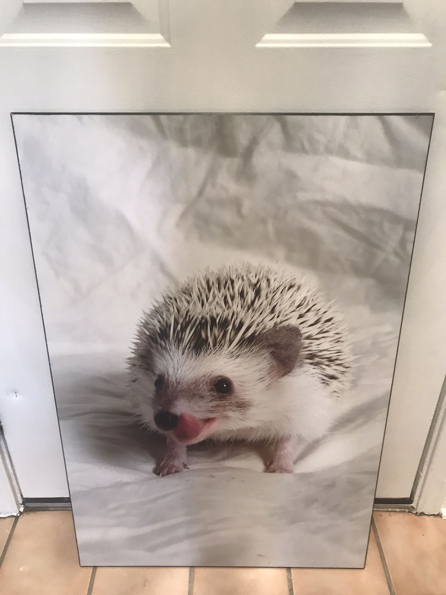 Hedgehog Poster