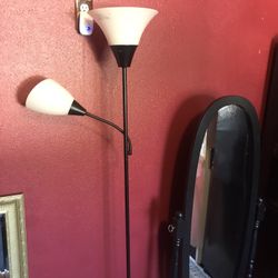 Floor Lamp 2 Light 6 Ft