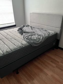 2 beds King and queen bed brand new