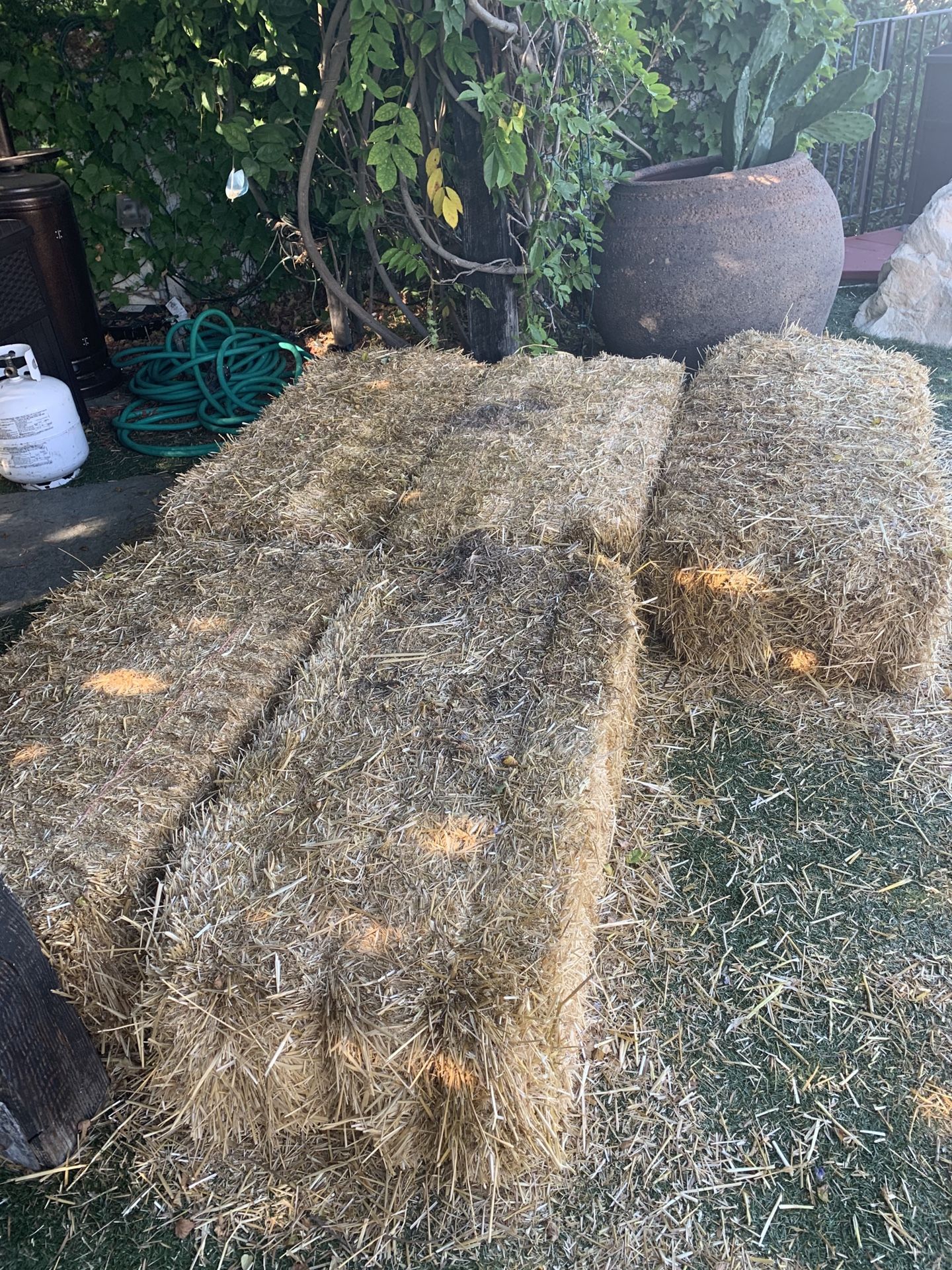 5 free hay bundles