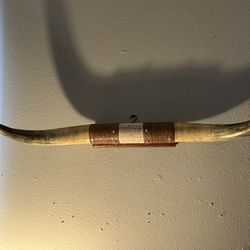 BULL’S HORNS 🐂