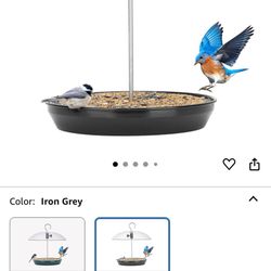 Bird Feeder 