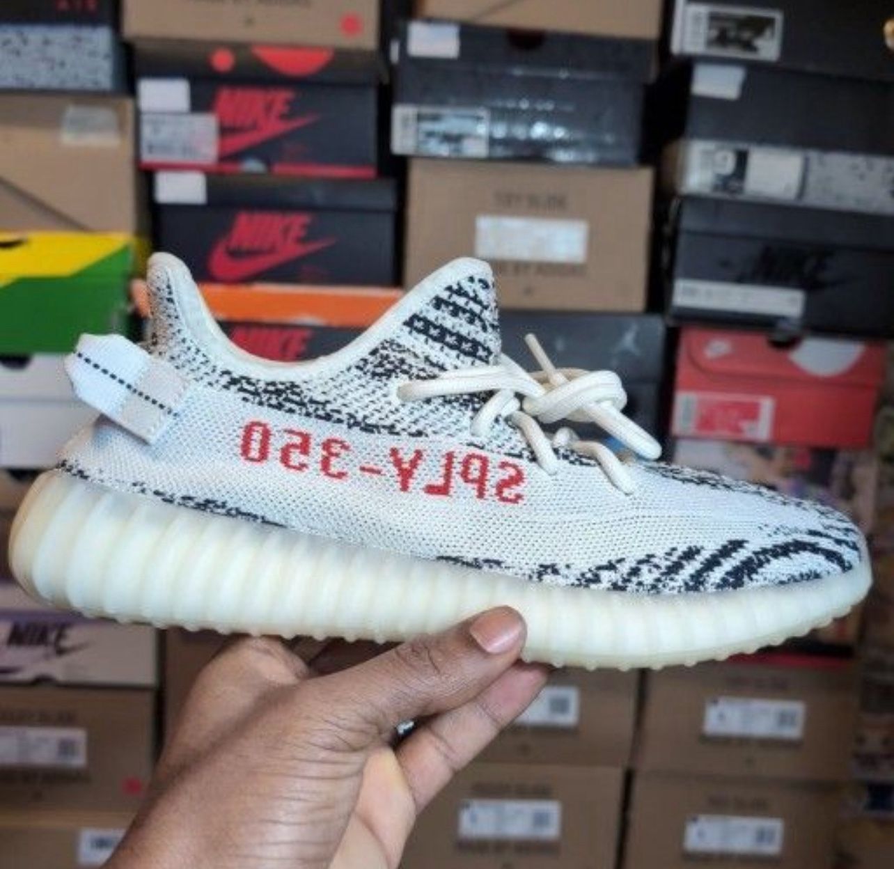 Yeezy 350’s🦓 SIZE 6