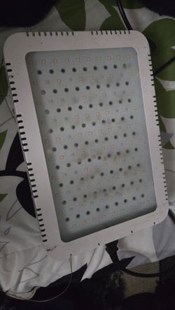 LED Grow light