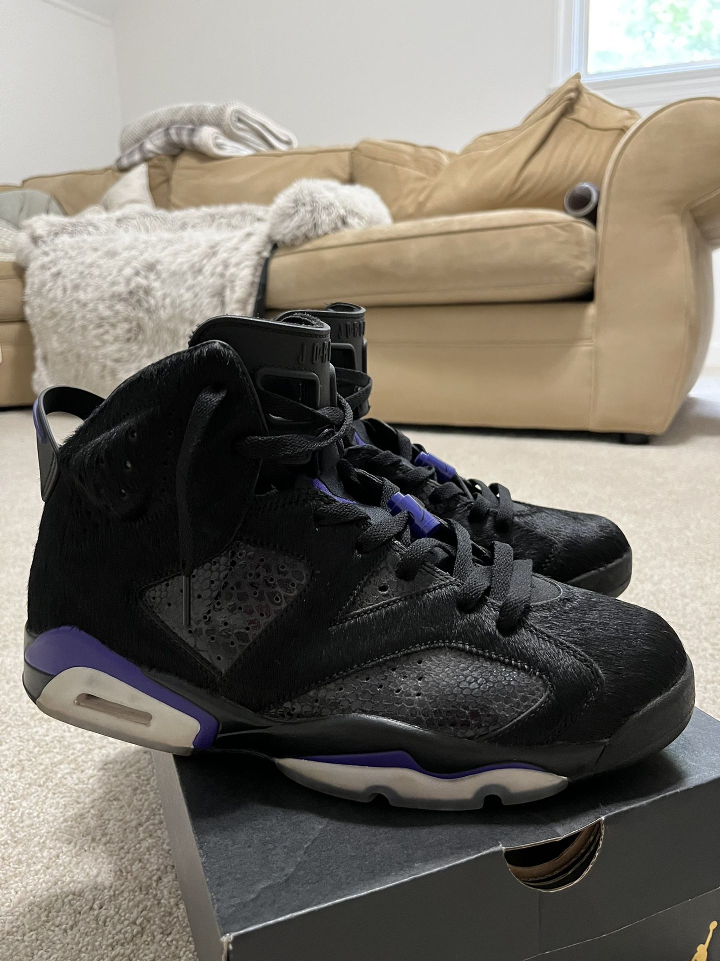Jordan 6 Social Status