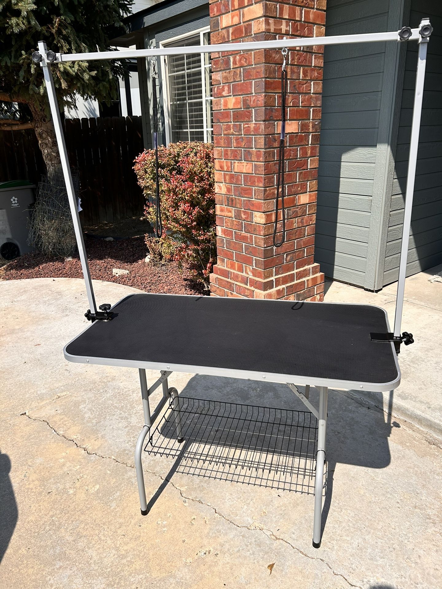 Dog Grooming Station 