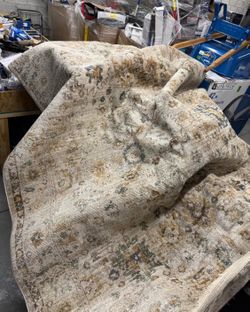 Darcy 7 × 10 ft Loomed Polypropylene area rug