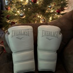Everlast Powerlock 2 Gloves
