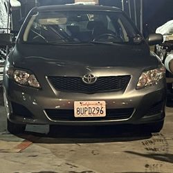 2010 Toyota Corolla