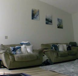 FREE Loveseat and Chair