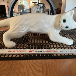 Large White Unmarked Camark Cat
