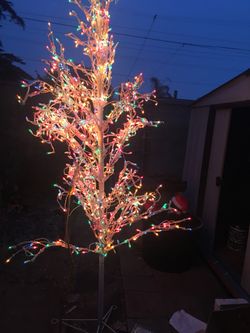 Árbol