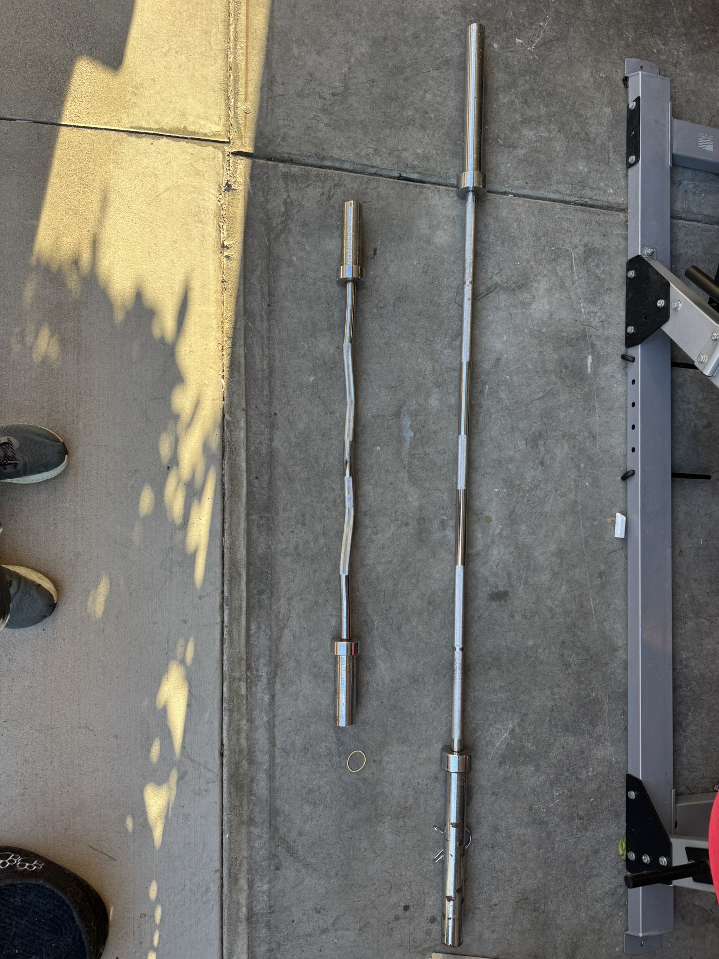 Barbell And Curl Bar