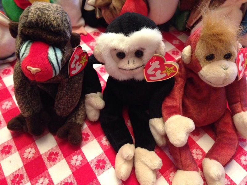 Ty monkeys