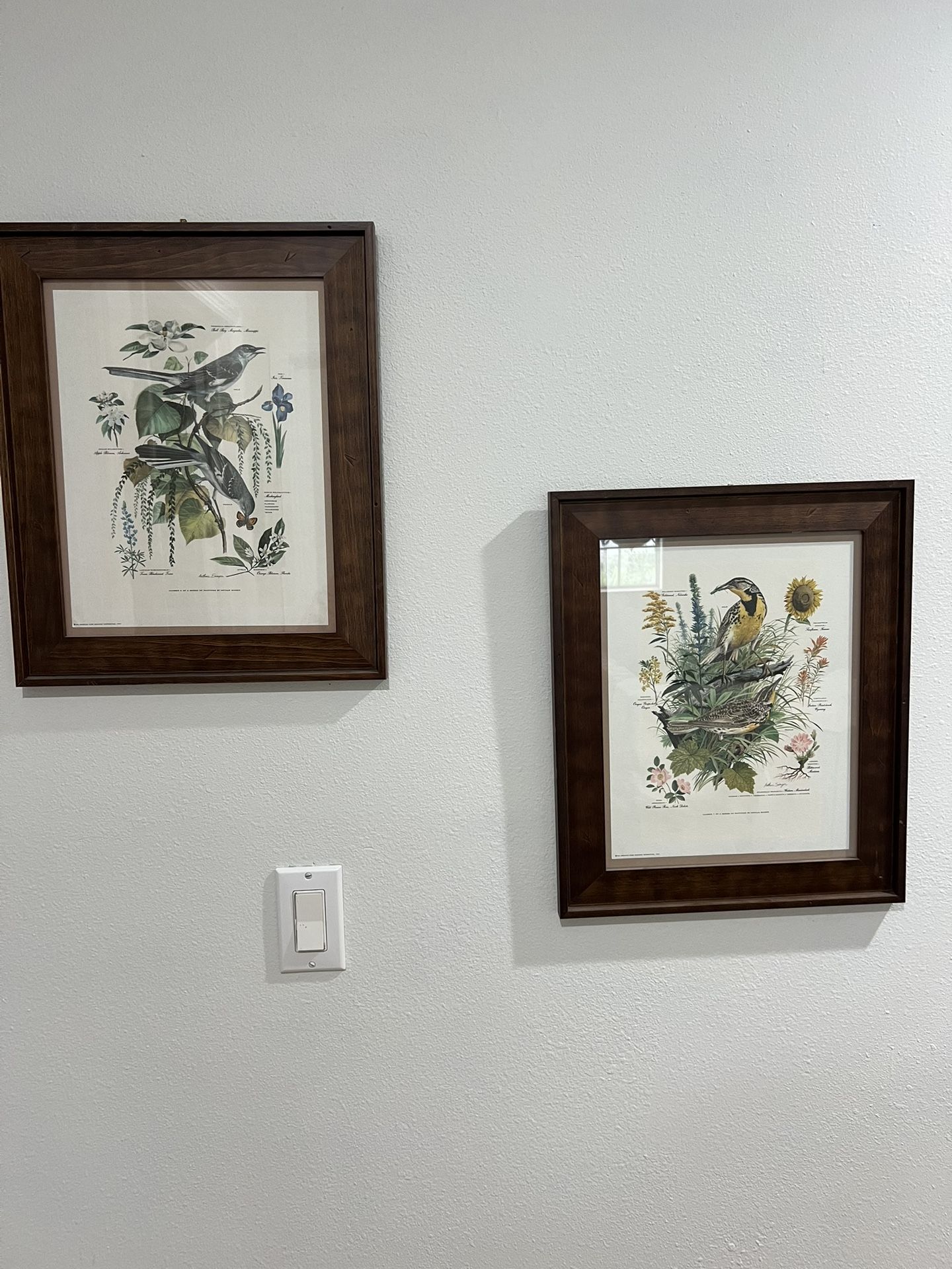 Pair Arthur Singer Framed Bird Wall Art Picture Print Vtg Meadowlark Mockingbird