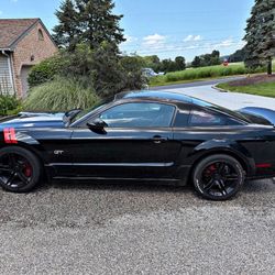 Mustang