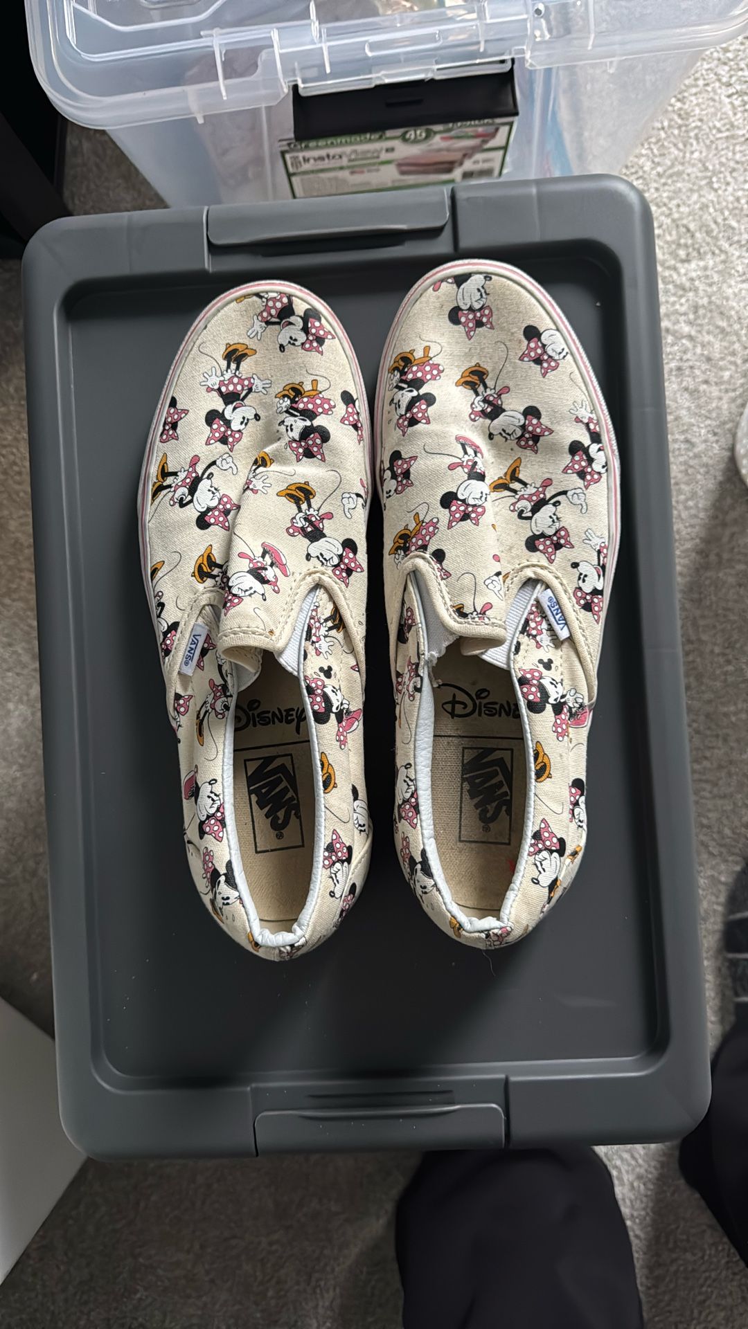 Vans       Minnie Mouse Gym Shoe. Size 10 Women’s