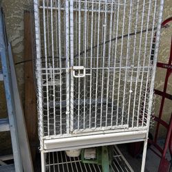 Bird Cage