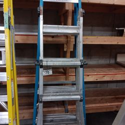 Multi Purpose Ladder 