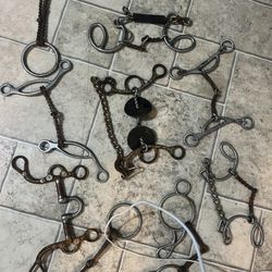 horse bit lot 