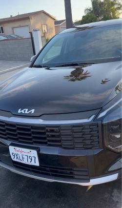 Auto detail