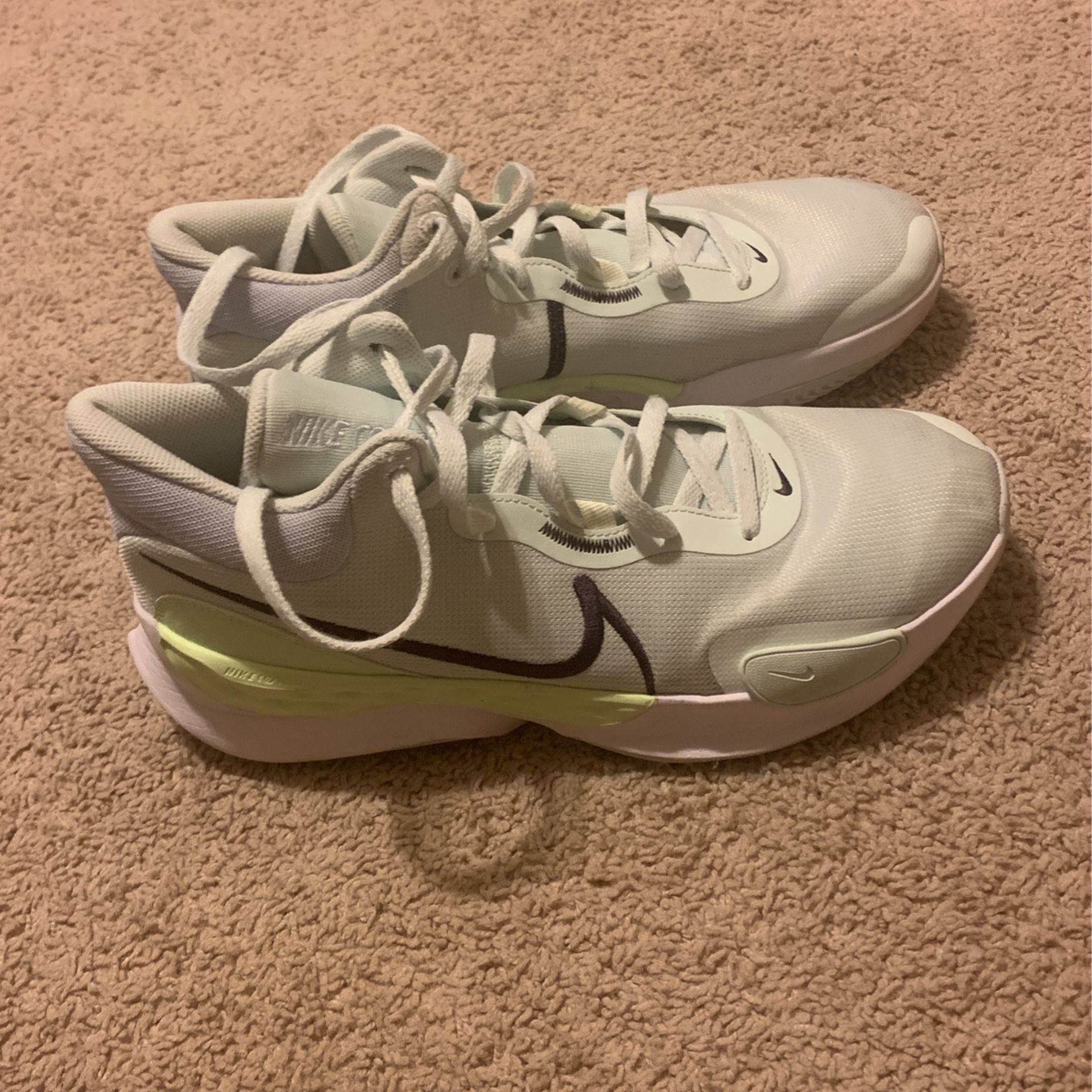 Basketball Shows