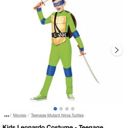 Ninja Turtle Costume