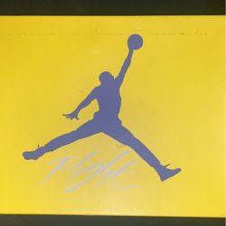 Jordan 4s