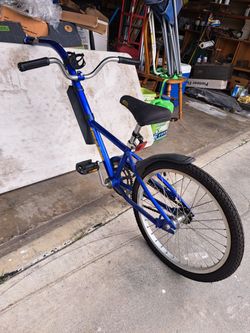 Tag Along Kids Bike trainer