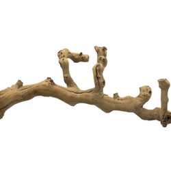 Sandblasted Natural California Grapewood Wood Branch 22 Inch