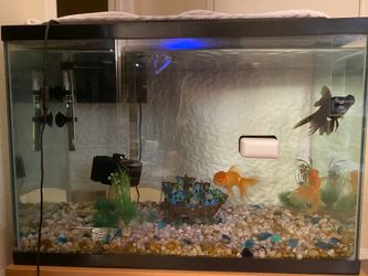 Fish tank 20 gallons