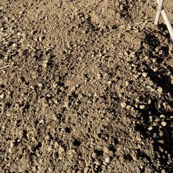Free Organic Horse Manure