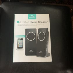 Amplified Stereo Speaker 