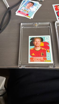 Panini kevin
