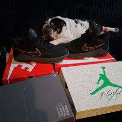 Nike La Bron Size 13