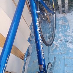 Road Bike