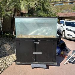 Fish Tank For Sale 