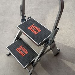 Little Giant Safety 2-Step Ladder/Stool