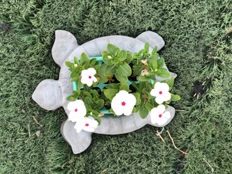 Tortuga de decoración con flores