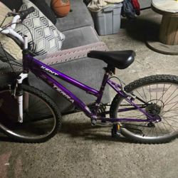 Womens Bike