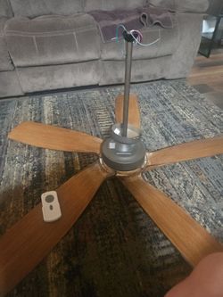 Ceiling Fan w/light