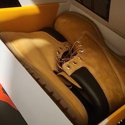 Size 13 Timberland Never Worn